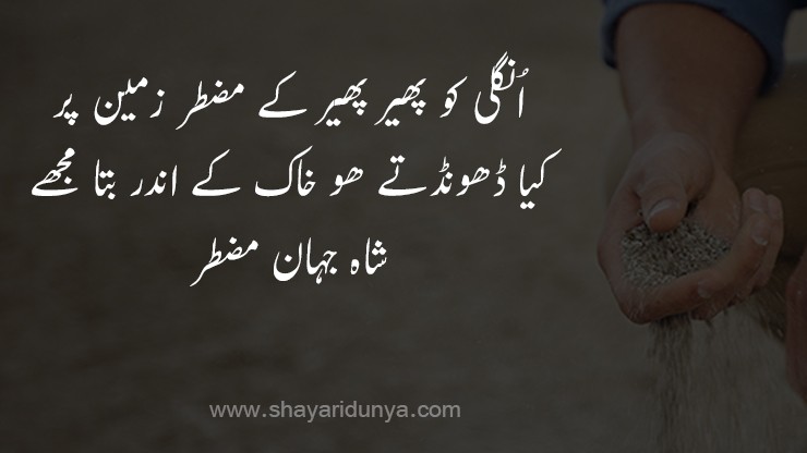 Best khak poetry | Khak Shayari  | 2 lines Khak poetry |  Khak Shayari in Urdu | 2 line urdu shayari | khaak ho jayenge poetry