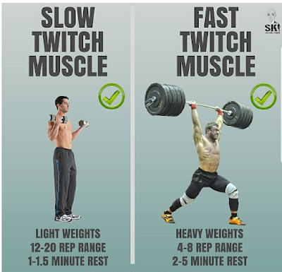How to Build Fast Twitch Muscle Fibers