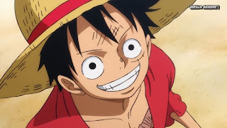 ワンピースアニメ 893話 ワノ国編 | ONE PIECE ルフィ かっこいい Monkey D. Luffy