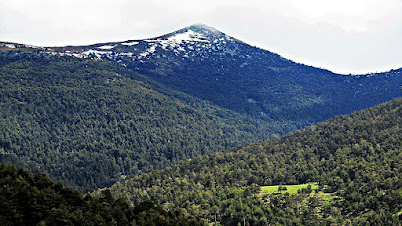 El Montón de Trigo