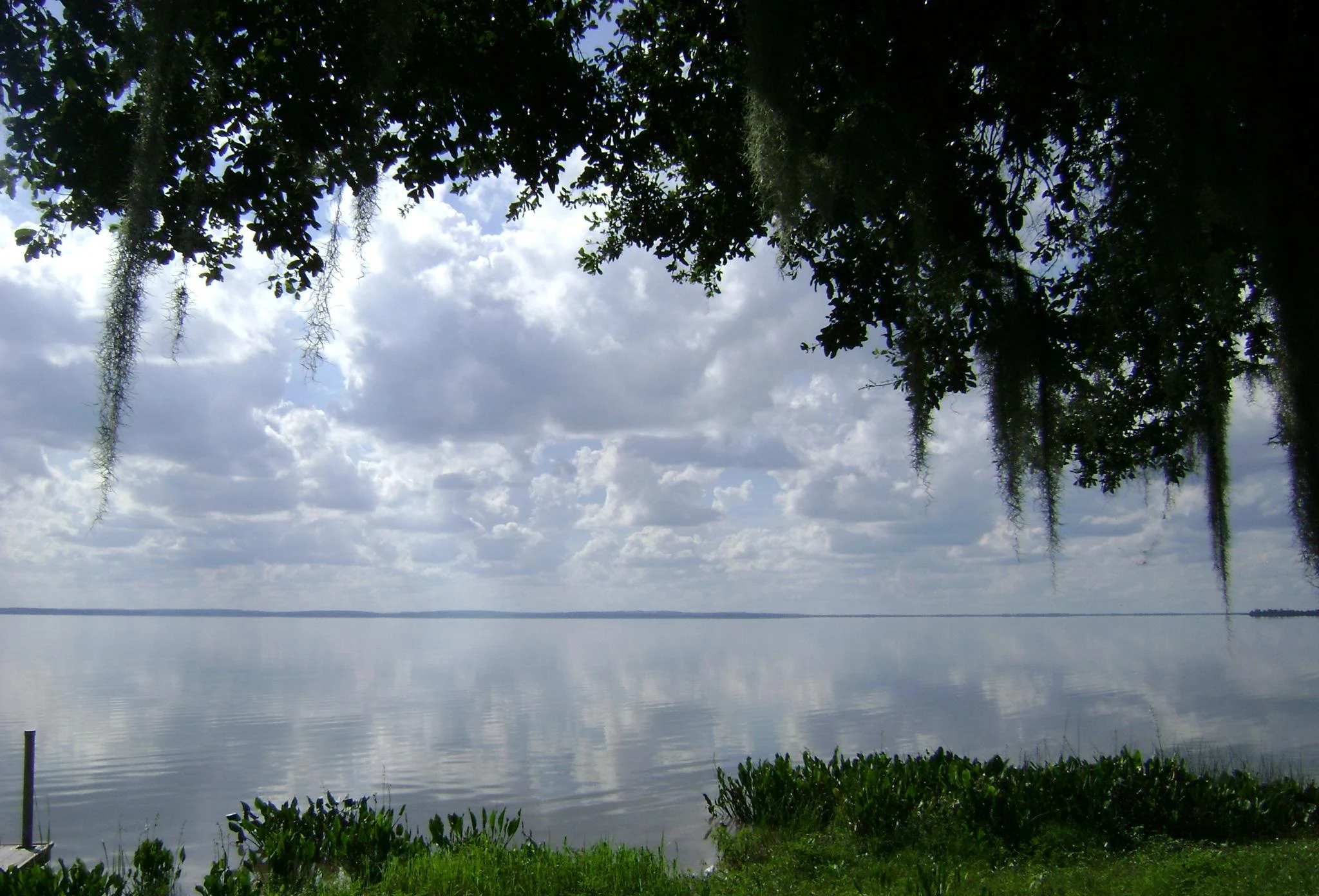 Lake Apopka