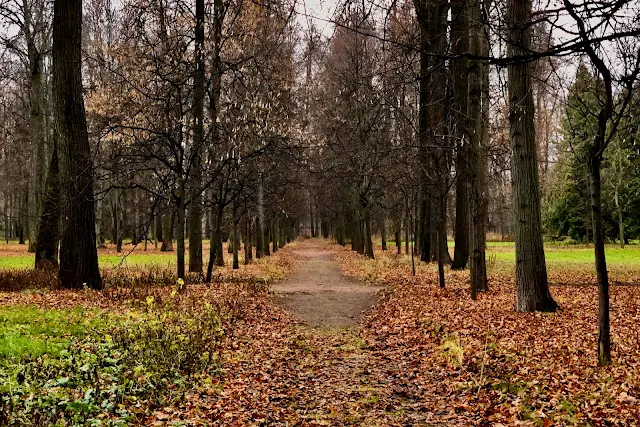 Тимирязевская академия, Французский парк