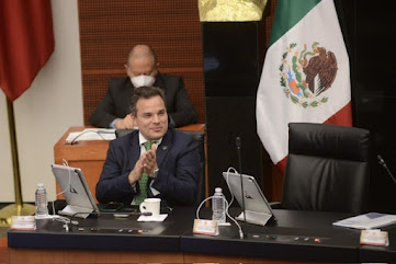 Secretaría de Salud debe emprender campaña informativa sobre el virus coxsackie: Luis Palacios