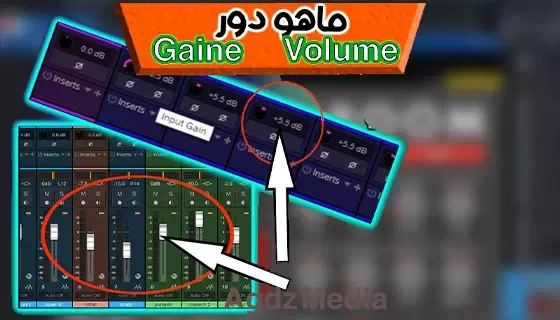 الفرق بين الكين Gaine والفوليوم Volume ودورهما