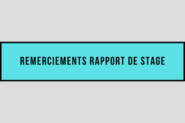 Remerciements Rapport De Stage