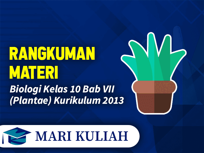 rangkuman-materi-biologi-kelas-10-bab-7-plantae-kurikulum-2013-revisi-terbaru