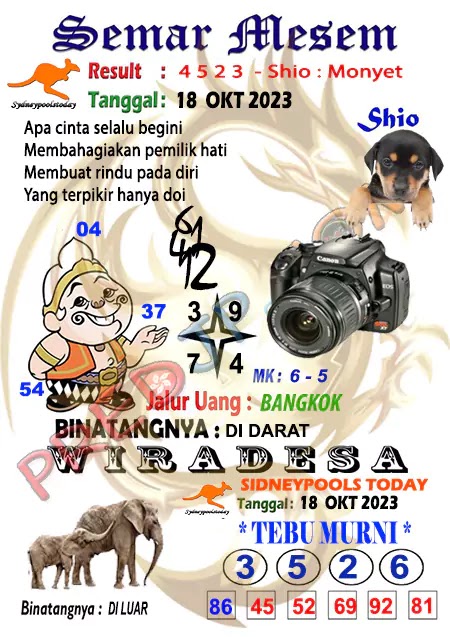 Prediksi Semar Mesem SDY Hari Ini JP 19 Oktober 2023