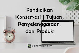 Pendidikan Konservasi | Tujuan, Penyelenggaraan, dan Produk