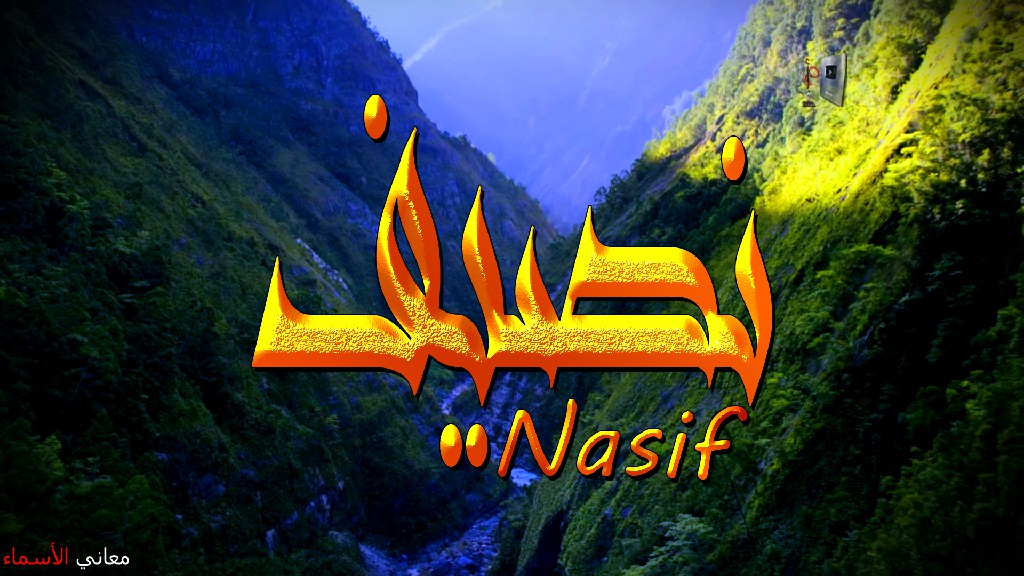 معنى اسم, نصيف, وصفات, حامل, هذا الاسم, Nasif,