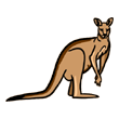 اسم الكنغر باللغة الإنجليزية هو Kangaroo وتنطق 'كانكارو'