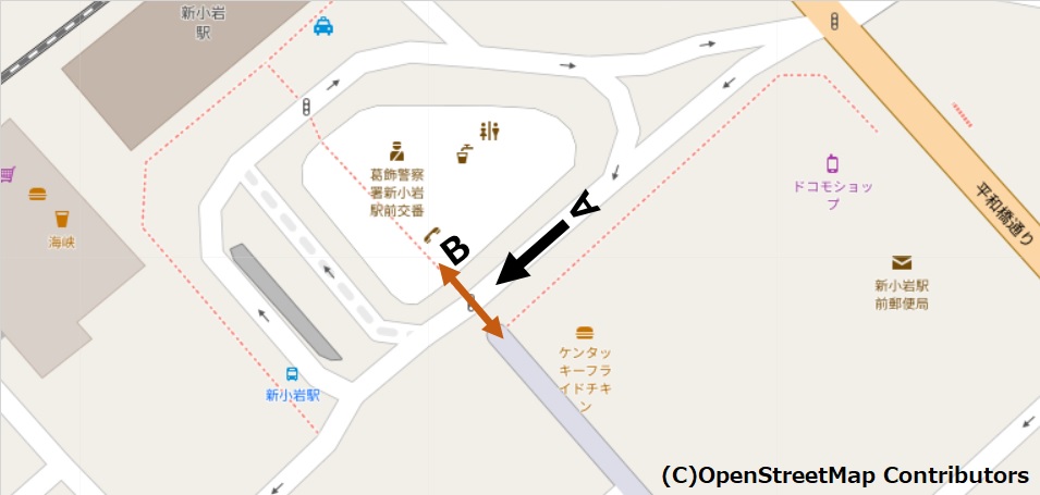 (新小岩駅南口ロータリー南東側)/地図