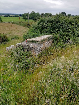 Laois Holy Wells