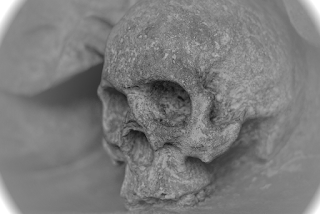 Skull Skeleton Monochrome Dead; Peter Dargatz