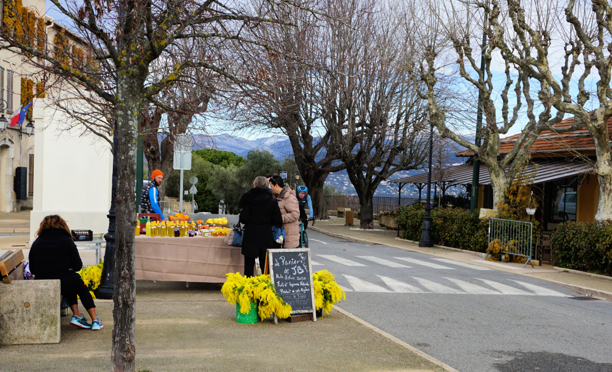 Tanneron Village