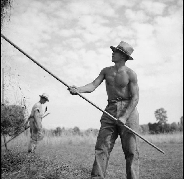 Swiss poet photographer Gustave Roud documented the vanishing way of life of the farmer, celebrating the athleticism of agricultural work from circa 1930-1950
