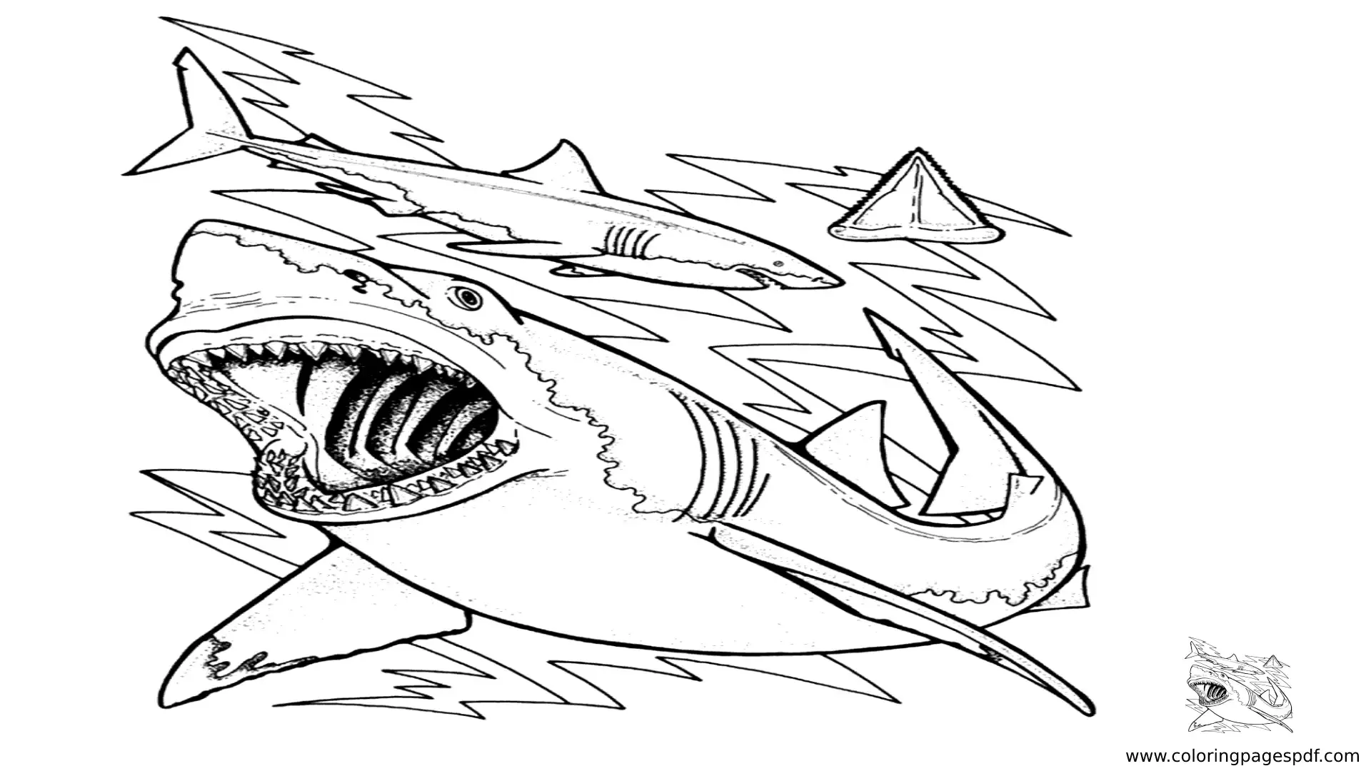 Coloring Pages Of A Shark With Sharp Teeth