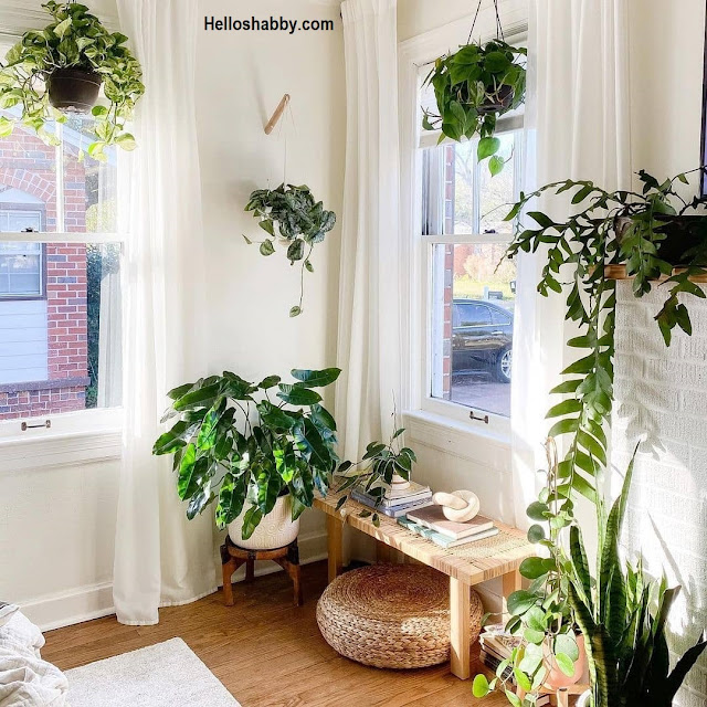 7 Ideas for Decorating A Bedroom with Plants ~ HelloShabby.com ...