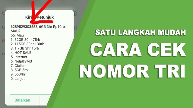 Cara Cek Nomor Tri SMS