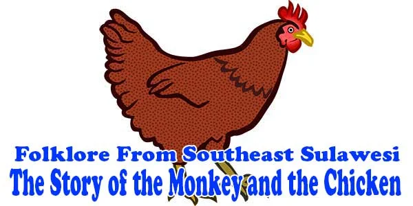 The Monkey and The Chicken Story