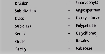 system position