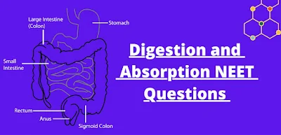 Digestion and Absorption NEET Questions