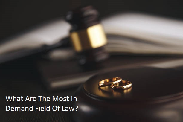 What Are The Most In Demand Field Of Law?