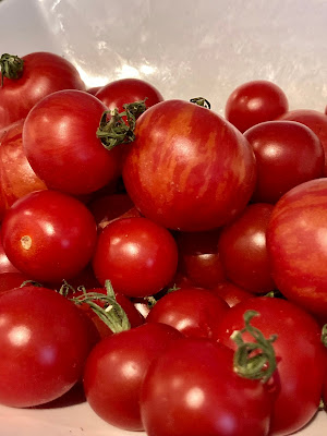 Bowl of ripe tomatoes