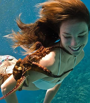 Long haired woman swimming underwater with an octopus reaching out and touching her shoulder