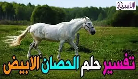 Interpretation-dream-about-white-horse