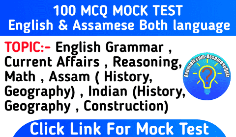 Mcq mock test