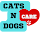 Cats and dogs facts