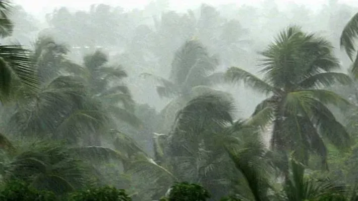 ശക്തമായ മഴയ്ക്ക് സാധ്യത; വടക്കന്‍ കേരളത്തില്‍ ഇന്നും നാളെയും ഓറഞ്ച് ജാഗ്രത | Chance of heavy rain; Orange alert in North Kerala today and tomorrow