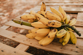 pisang, kepok, pisang kepok, ciri pisang kepok, nutrisi pisang kepok, olahan pisang kepok