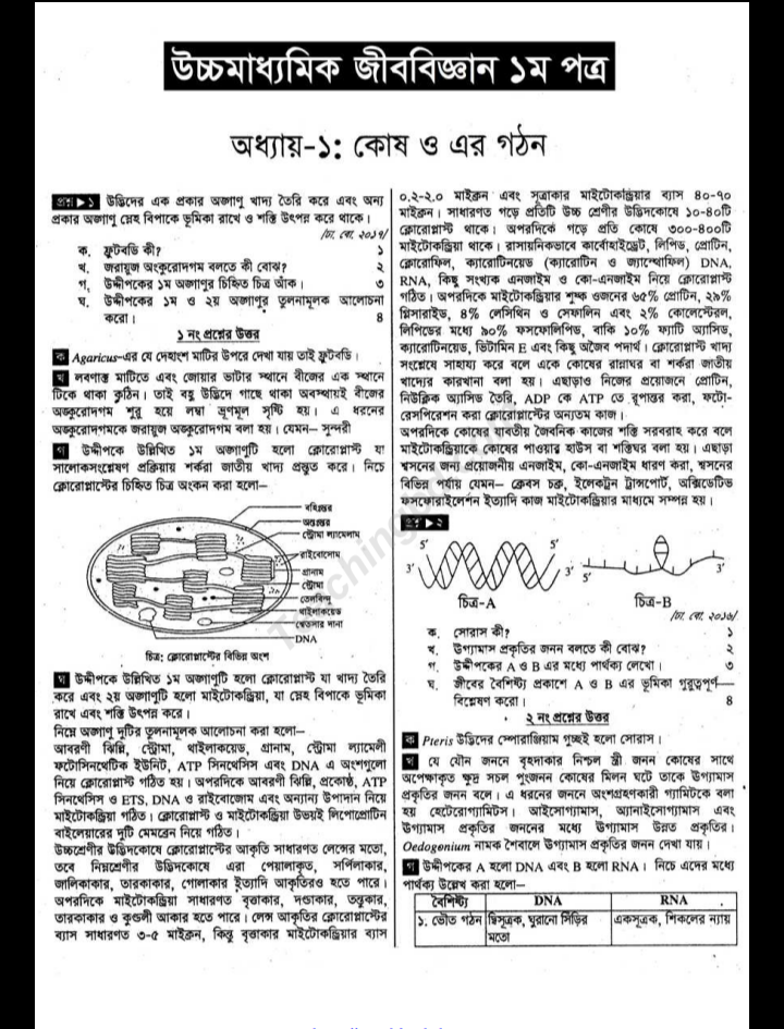 একাদশ-দ্বাদশ শ্রেণীর জীববিজ্ঞান ১ম পত্র সৃজনশীল সমাধান pdf, একাদশ-দ্বাদশ শ্রেণীর জীববিজ্ঞান ১ম পত্র গাইড বই ডাউনলোড ২০২২ pdf, একাদশ-দ্বাদশ শ্রেণীর জীববিজ্ঞান ১ম পত্র সমাধান pdf, একাদশ-দ্বাদশ শ্রেণীর জীববিজ্ঞান ১ম পত্র সমাধান প্রথম অধ্যায়, একাদশ-দ্বাদশ শ্রেণীর জীববিজ্ঞান ১ম পত্র সমাধান pdf, একাদশ-দ্বাদশ শ্রেণীর জীববিজ্ঞান ১ম পত্র সমাধান ২য় অধ্যায়, একাদশ-দ্বাদশ শ্রেণীর জীববিজ্ঞান ১ম পত্র সৃজনশীল প্রশ্ন সমাধান, একাদশ-দ্বাদশ শ্রেণীর জীববিজ্ঞান ১ম পত্র সৃজনশীল সমাধান pdf, একাদশ-দ্বাদশ শ্রেণির জীববিজ্ঞান ১ম পত্র সৃজনশীল প্রশ্ন pdf, একাদশ-দ্বাদশ শ্রেণীর জীববিজ্ঞান ১ম পত্র গাইড বই ডাউনলোড ২০২২ pdf, class 11-12 biology 1st paper solution 2022, biology 1st paper for class 11-12 pdf bangla version, lecture biology 1st paper guide for class 11-12 pdf  download, Class 11-12 biology 1st paper PDF, class 11-12 biology 1st book pdf 2022, Class 11-12 biology 1st paper PDF download,