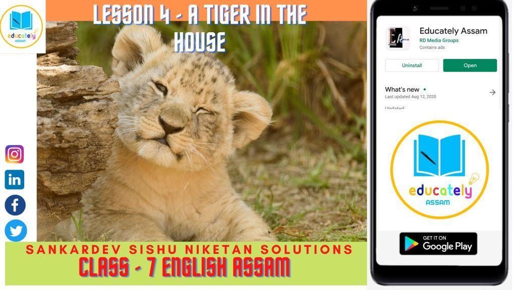 A Tiger in the house Questions Answers | Lesson 4 | Class 7 | English