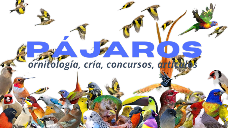 Aviario Julian Rodriguez, Núcleo Zoológico de fringílidos desde 2016