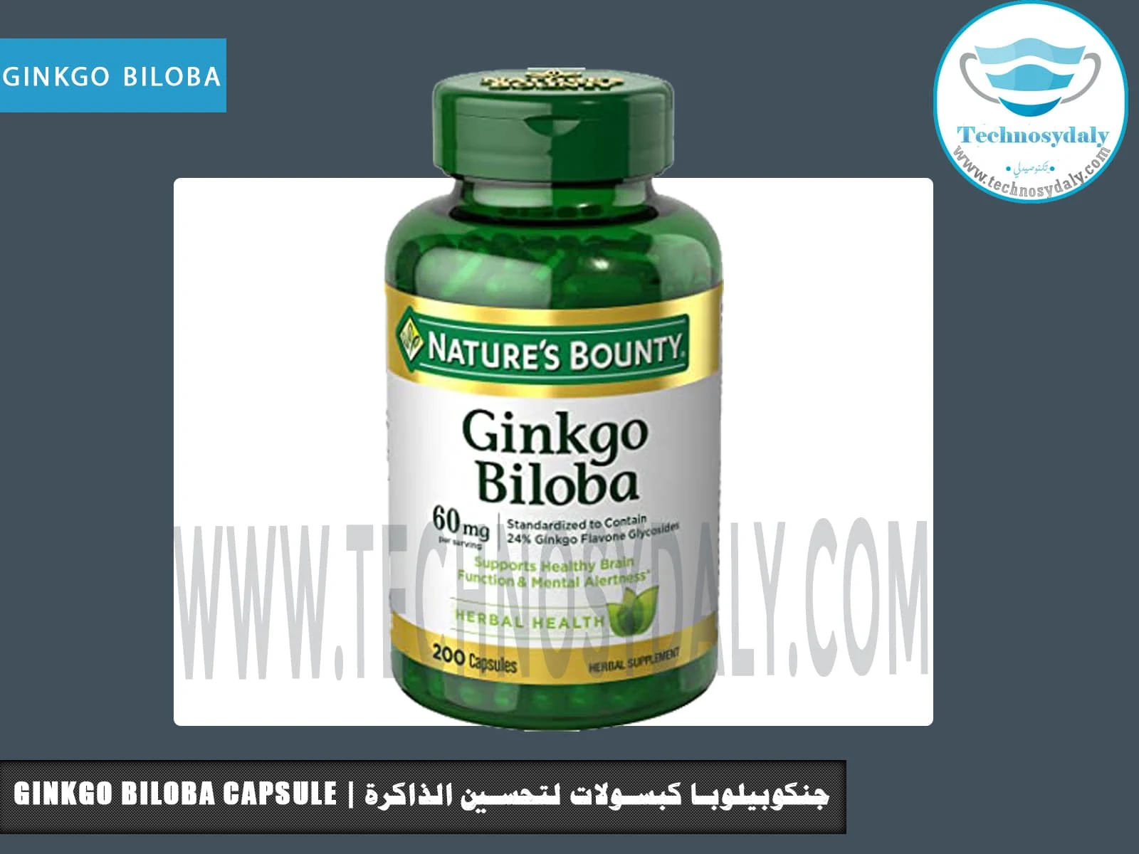 Ginkgo biloba capsule