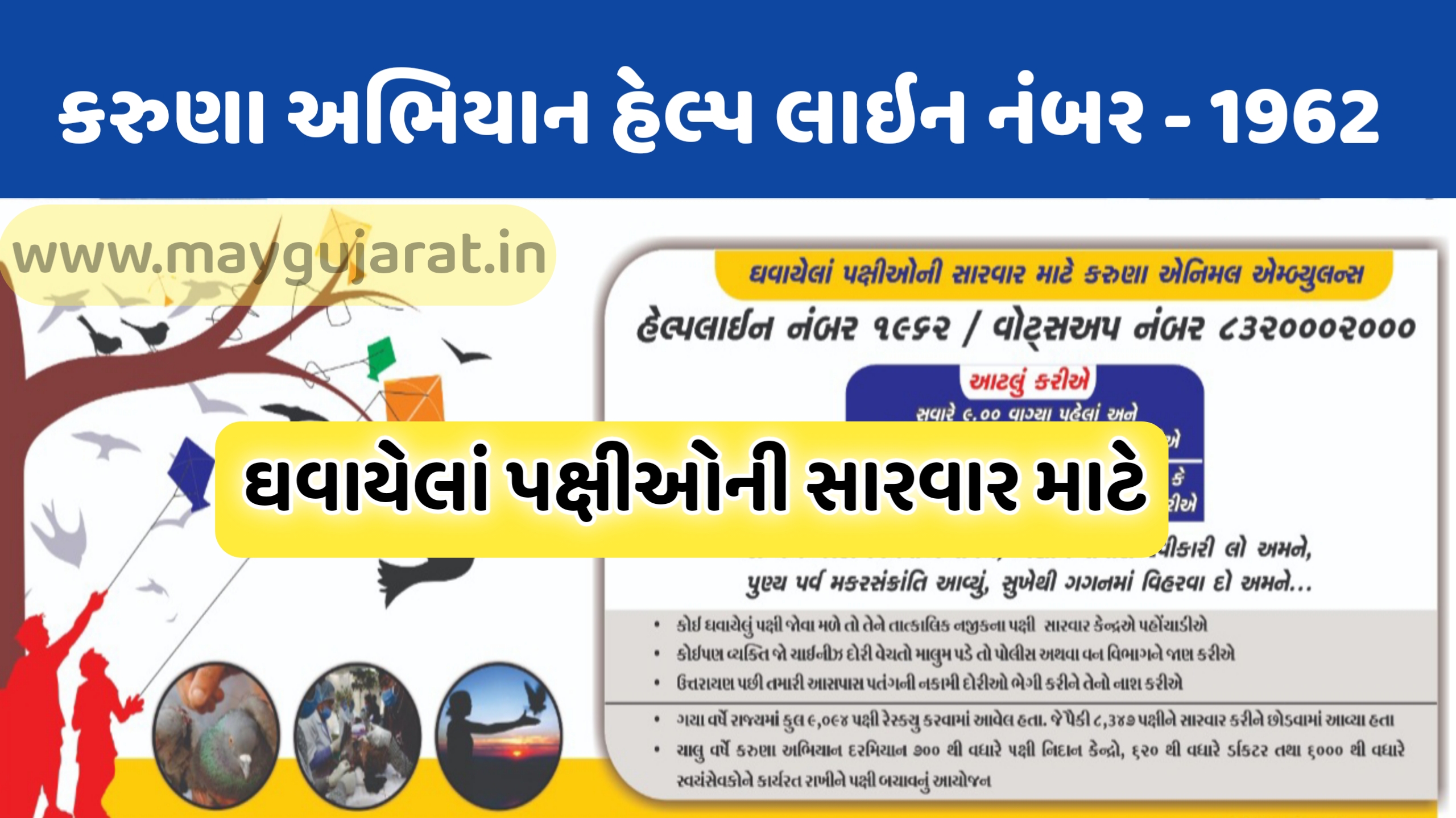 Animal Helpline Number Gujarat - Karuna Abhiyan 2022 | કરુણા અભિયાન