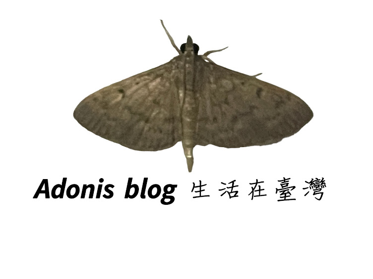 Adonis Blog