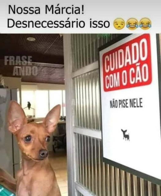 64 memes de cachorro para você ter na manga