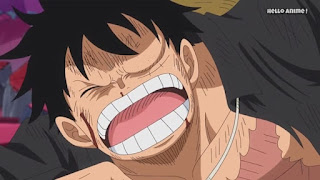 ワンピースアニメ WCI編 867話 ルフィ | ONE PIECE ホールケーキアイランド編