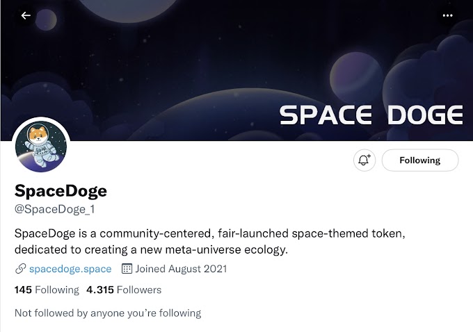 Space Doge - Thế Giới Trò Chơi Thực Tế Tảo Trên Binance Smart Chain