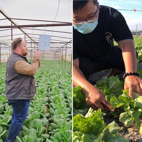 嘉大與二林青農產官學合作 雲精準農業協助農民提升收益