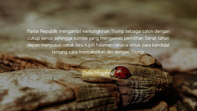 quotes bijak dalia mogahed 24