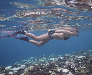 Snorkeling / skin diving