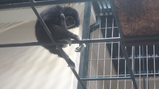 北海道 道東 釧路市動物園