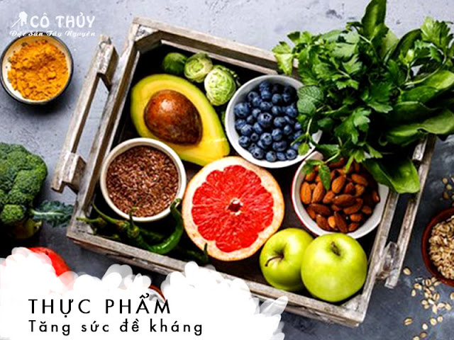 Tại sao bạn nên thực hiện Ăn thuần chay, công dụng ra sao ?