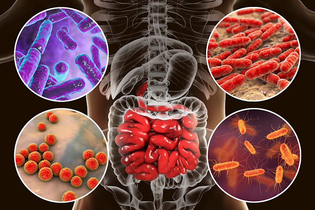 The Human Microbiome: Unveiling the Hidden World Within Us