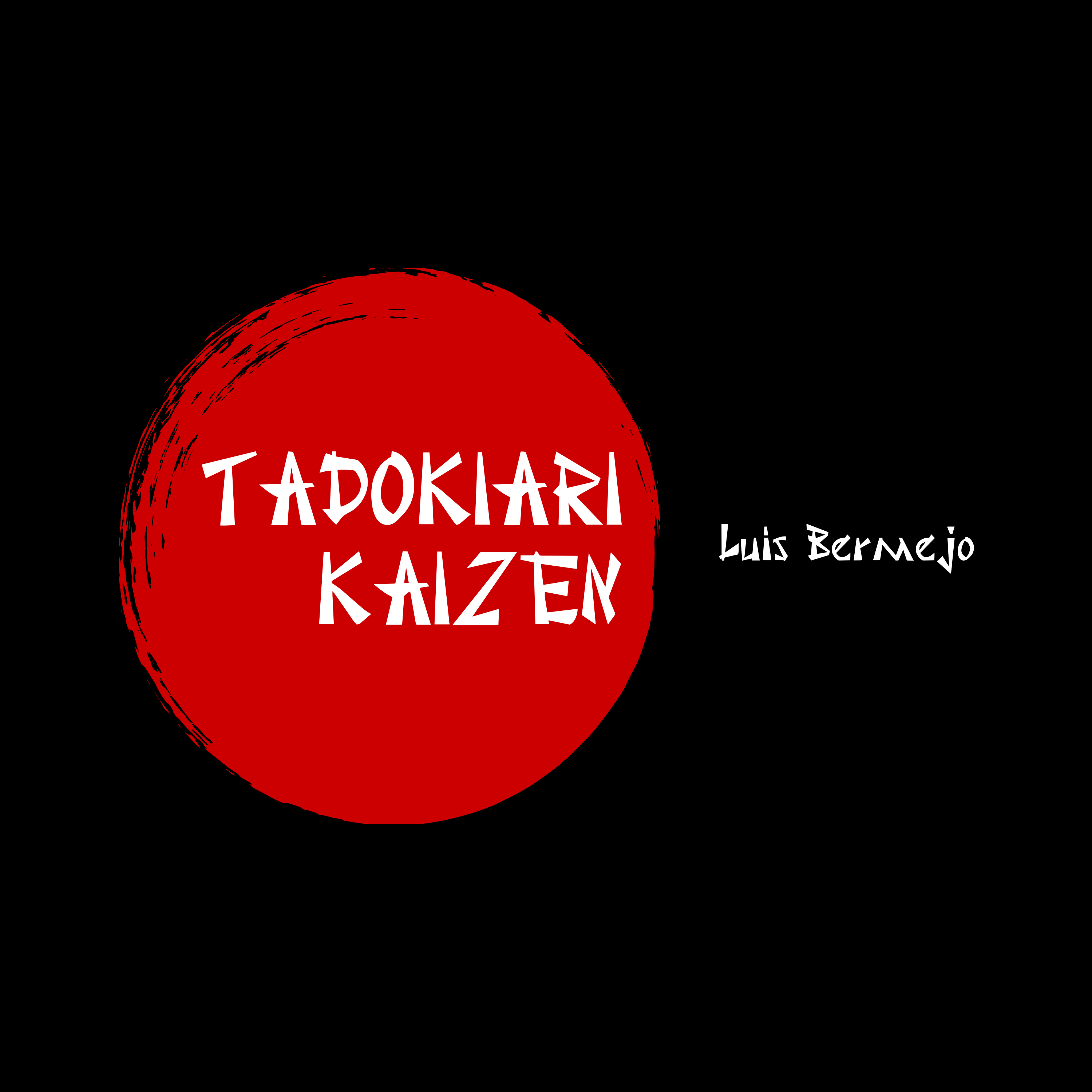 Presentación de TADOKIARI KAIZEN | luisbermejo.com