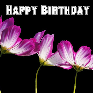 Happy Birthday images with flowers for fb